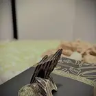 بخور تايقر فتنامين درجه اولى