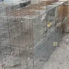 محاكر للبيع