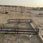 شد ددسن موديل 2000 وفوق