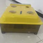 فقاسه بيض صغيره