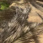 جريد لوجه الله