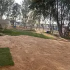 عرض مربط الهايمات   بريدة   الجراد