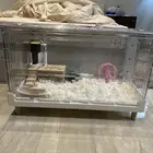 همستر مع قفص