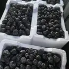 تمر عجوه عضوي