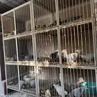 محاكر حديد للبيع