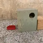 بياضة زوج كنيور وبياضه حقة زوج روز وبياضه حقة كروان
