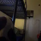 كرسي دورين