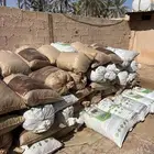 للبيع تمر نفيع