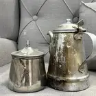 ملقمة شبيهة العساف