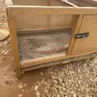 شبك طيور