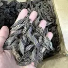 عود كمبودي تايقر طبيعي محس ن   كسر صغيرة   جملة ومفرق
