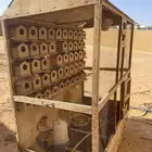 شبك طيور زيبرا