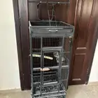 تم البيع