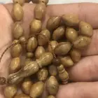 سبحاة