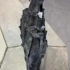 شمعه كامري يسار 2023