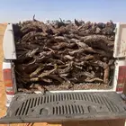 للبيع صندوق هايلكس يابس وشرط