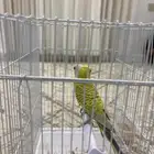 السلام عليكم ورحمة الله وبركاته