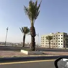 مطلوب شقق عزاب مكونه من غرفه وحمام وتكون بسعر ممتاز