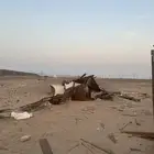 خشب وطبليات