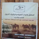 ايواء خيل