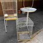 اقفاص كاسكو   ستاند للطيور الكبيره