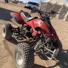 البيع دباب الحجم الكبير