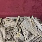 عود هندي صيده