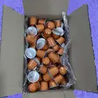 كبسولات قهوة نسبريسو الاصلية
