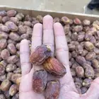 تمر خلاص وادي