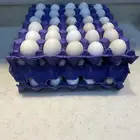 بيض بلدي