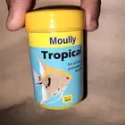 اكل سمك زينه ( استخدمه كنت عشان ااكل سمكتي الفايتر )