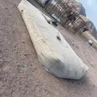 شراع دينه (تم البيع)