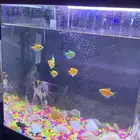 حوض سمك جميل جدا