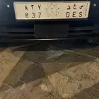 لوحة مميزة سعد مطلوب فيها 30 الف