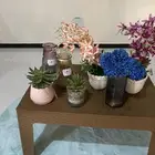 فازات تحف منزليه