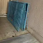 بيت القط