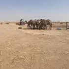 أبل عددها عشر مع ويتها وغرفتها