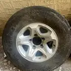 جنوط شاص رفرف