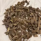 عود موركي حي قديم دقة مفروز دبل وتربل
