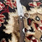 موس ابو حصان الأصلي