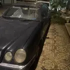 بيشة