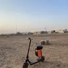 جديد