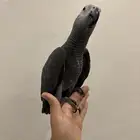 فرخ كاسكو اليف و هدد داخلي و خارجي و متكلم على تم البيع