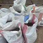 تمر علف