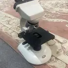 مجهر