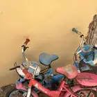 سيكل اثنين اب 250