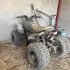 دباب تايواني