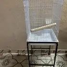 ساسكو قفص نظيف