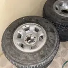 جنوط سفاري وكاله