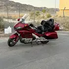 دباب قولد وينق